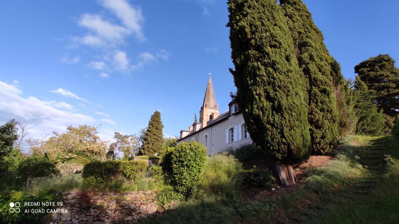 L'Angeline Bed & Breakfast Gennes-Val-de-Loire Bagian luar foto